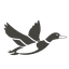 Mallard Medical